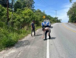 Tabrak Pengendara Sepeda Motor, Mobil Toyota Avanza Nyungsep Masuk Hutan