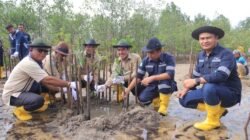 Kolaborasi dengan Masyarakat Desa Gemuruh, PT Timah Tbk Tanam Ribuan Mangrove di Pantai Batu Kucing 