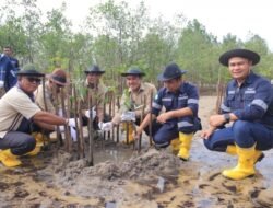 Kolaborasi dengan Masyarakat Desa Gemuruh, PT Timah Tbk Tanam Ribuan Mangrove di Pantai Batu Kucing 