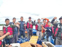Jaga Kelestarian Kepiting dan Tingkatkan Ekonomi Nelayan, PT Timah Tbk Tebar 300 Bibit Kepiting Bakau di Pantai Kundur 