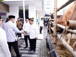 Idul Adha 1446 H, Wamen Ossy: Momentum Spiritualisasi Nilai Pengabdian di Lingkungan Birokrasi