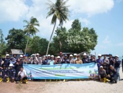 Jaga Ekosistem Pantai Batu Bedaun Bangka Belitung, PT Timah Kolaborasi dengan Karang Taruna Desa Rajik Tanam Ribuan Mangrove 