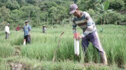 GEMAPATAS Akan Dicanangkan Serentak di 23 Kabupaten/Kota, Kepala Biro Humas dan Protokol: Dipimpin Langsung oleh Menteri Nusron