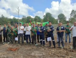 Bersama Kelompok Tani Bina Tani Tailong, PT TIMAH Tbk Tanam Lima Puluh Ribu Bibit Nanas di Kundur