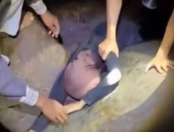 Seorang Wanita Muda Ditemukan Lemas di Atas Batu Pinggir Pantai Coastal Area karimun