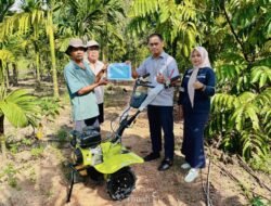 Tingkatkan Produktivitas Kelompok Tani di Desa Kundur, PT TIMAH Tbk Dukung Sektor Pertanian