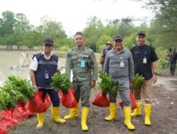 Lewat Program TJSL, PT TIMAH Tbk Tanam Belasan Ribu Mangrove di Kundur dan Meranti untuk Jaga Ekosistem Pesisir