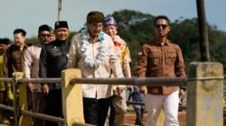 Bupati Karimun Sambut Rencana Investasi PLTS Orien Energy di Pulau Belat