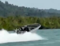 Penyelundupan Benih Bening Lobster Senilai Rp 11 Miliar Digagalkan Bea Cukai Kepri