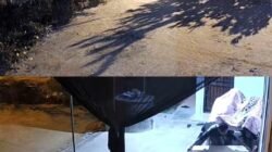 Aksi Dua Orang Terekam CCTV, Curi Sebuah Meja