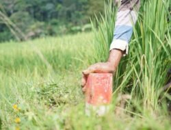 Mudik Lebaran? Pastikan Batas Tanah Jelas untuk Cegah Sengketa dengan Tetangga