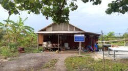 Gerakan Ekonomi Masyarakat, PT TIMAH Berdayakan KWT Lanjut Lestari Lewat Produk Belacan Cinta