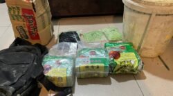 Ungkap Jaringan Narkoba Internasional di Pulau Buru Karimun, Ditresnarkoba Polda Kepri Sita 1.800 Butir Ekstasi dan 2,8 Kg Sabu