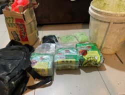 Ungkap Jaringan Narkoba Internasional di Pulau Buru Karimun, Ditresnarkoba Polda Kepri Sita 1.800 Butir Ekstasi dan 2,8 Kg Sabu