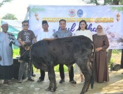 Daging Kurban Lanal TBK Didistribusikan Untuk Untuk Keluarga Prajurit dan Warga Sekitar