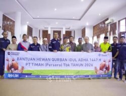 PT TIMAH Hadir untuk Masyarakat, Hewan Kurban Dibagikan ke Desa-Desa Operasional