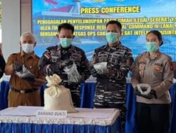 Penyelundupan 1,9 Ton Pasir Timah ke Malaysia di Gagalkan TNI Angkatan Laut di Perairan Karimun